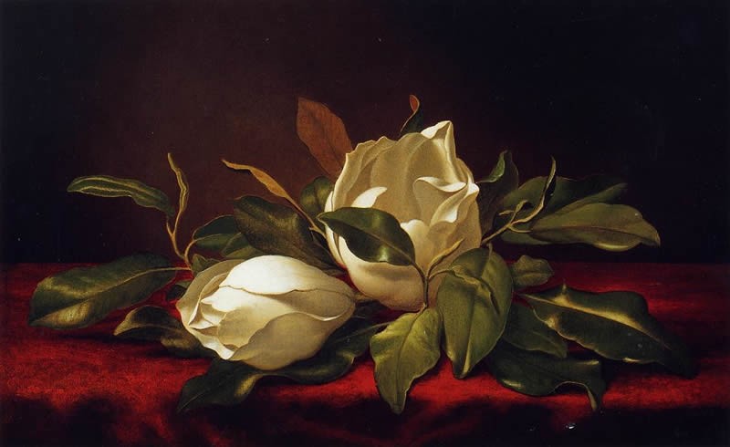 Martin Johnson Heade Magnoliae Grandeflorae